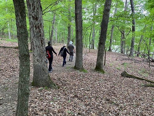 Hiking Rocky Top Trail at Lake of the Ozarks State Park